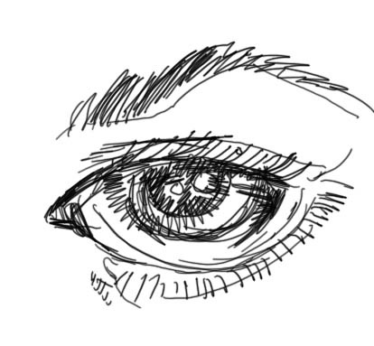 Eye